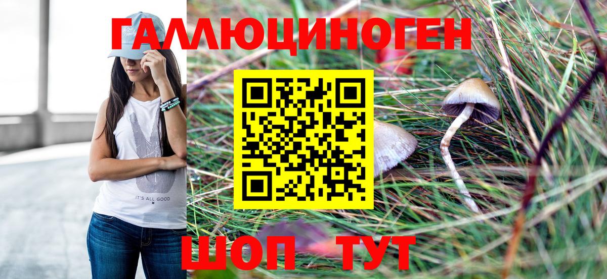как найти наркотики  Псилоцибиновые грибы Psilocybe  Павловский Посад  Вход с VPN  Галлюциногенные грибы Cubensis 