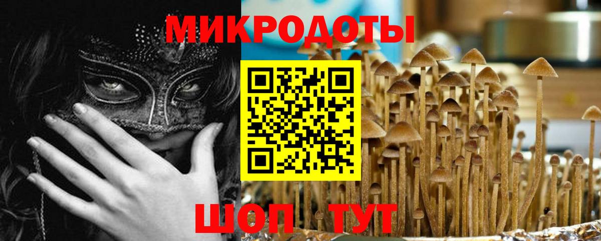 Псилоцибиновые грибы мухоморы Павловский Посад